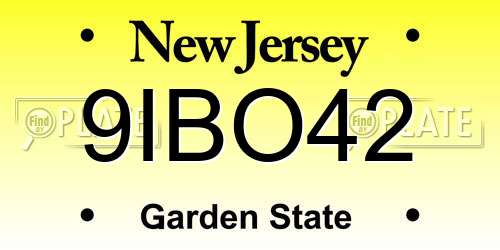 9IBO42 New Jersey License Plate