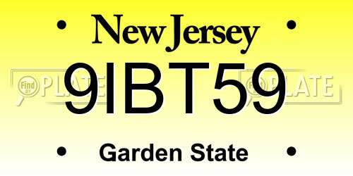 9IBT59 New Jersey License Plate