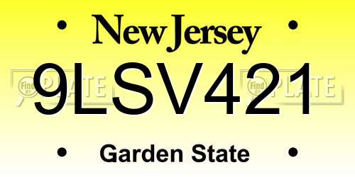 9LSV421 New Jersey License Plate