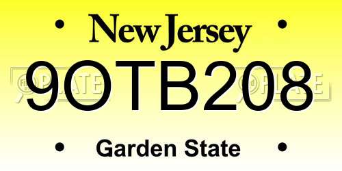 9OTB208 New Jersey License Plate