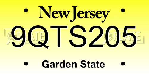 9QTS205 New Jersey License Plate