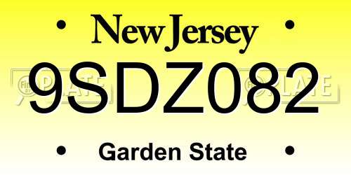 9SDZ082 New Jersey License Plate