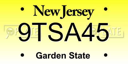9TSA45 New Jersey License Plate