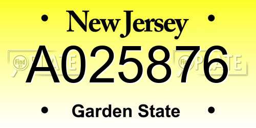 A025876 New Jersey License Plate