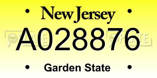 A028876 New Jersey License Plate