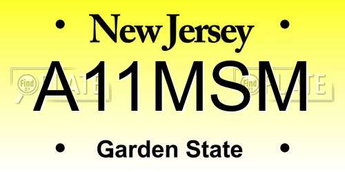 A11MSM New Jersey License Plate