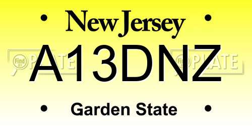 A13DNZ New Jersey License Plate