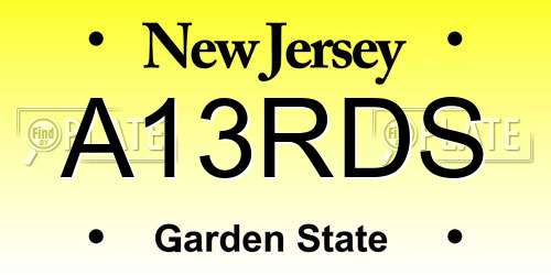 A13RDS New Jersey License Plate