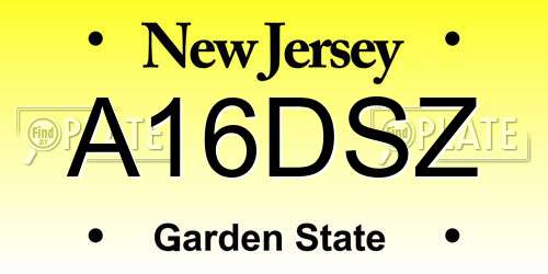 A16DSZ New Jersey License Plate