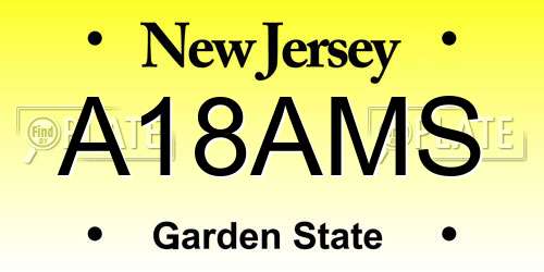 A18AMS New Jersey License Plate