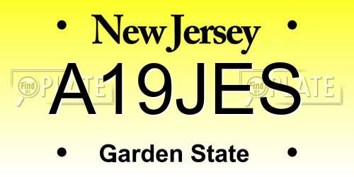 A19JES New Jersey License Plate
