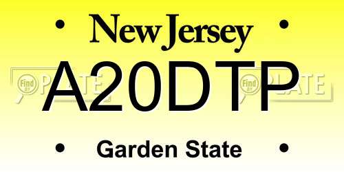 A20DTP New Jersey License Plate