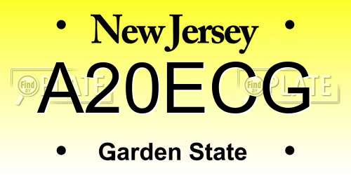 A20ECG New Jersey License Plate