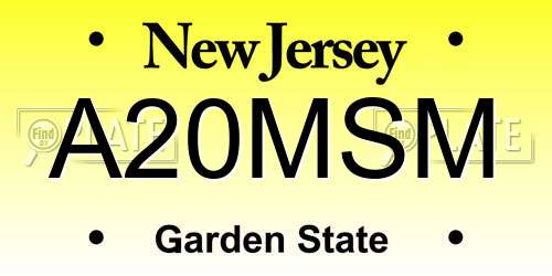 A20MSM New Jersey License Plate