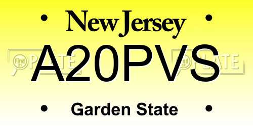 A20PVS New Jersey License Plate