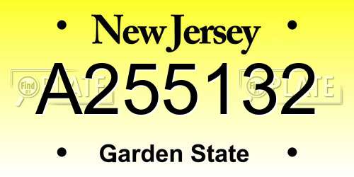 A255132 New Jersey License Plate