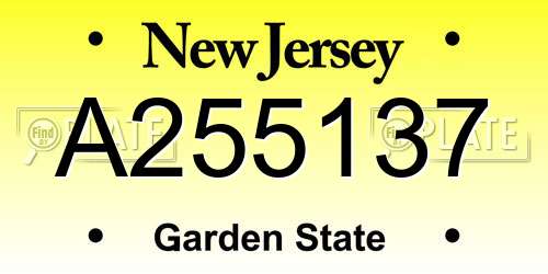 A255137 New Jersey License Plate