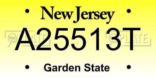A25513T New Jersey License Plate