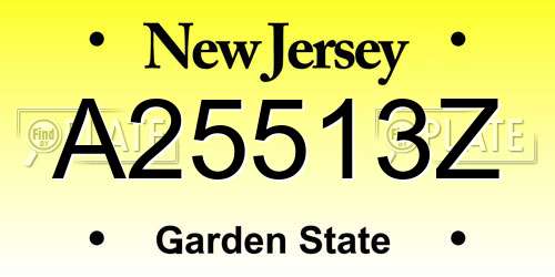 A25513Z New Jersey License Plate