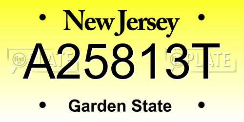 A25813T New Jersey License Plate