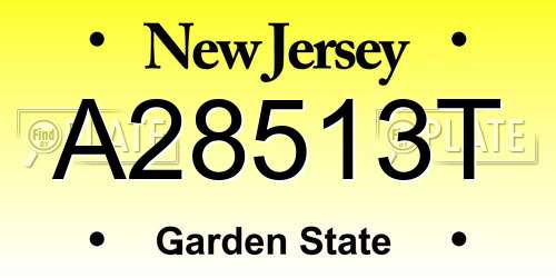 A28513T New Jersey License Plate