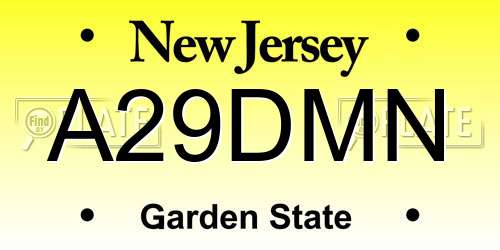 A29DMN New Jersey License Plate