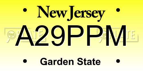 A29PPM New Jersey License Plate