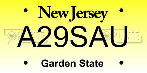 A29SAU New Jersey License Plate
