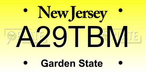 A29TBM New Jersey License Plate
