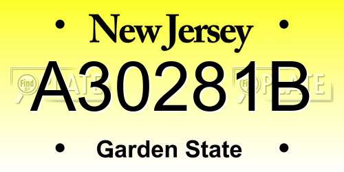 A30281B New Jersey License Plate