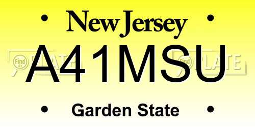 A41MSU New Jersey License Plate