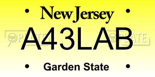 A43LAB New Jersey License Plate