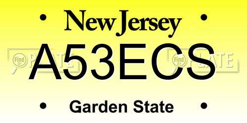 A53ECS New Jersey License Plate