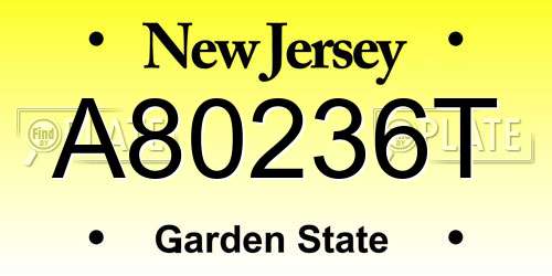 A80236T New Jersey License Plate