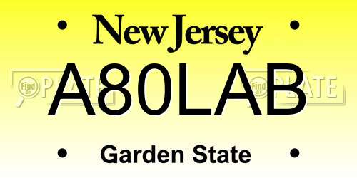 A80LAB New Jersey License Plate
