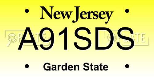 A91SDS New Jersey License Plate