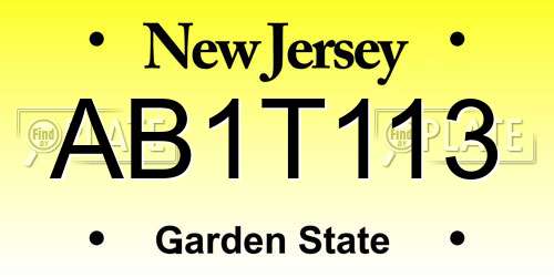 AB1T113 New Jersey License Plate