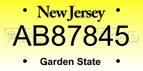AB87845 New Jersey License Plate