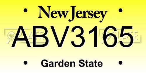 ABV3165 New Jersey License Plate