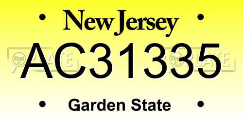 AC31335 New Jersey License Plate