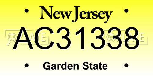 AC31338 New Jersey License Plate