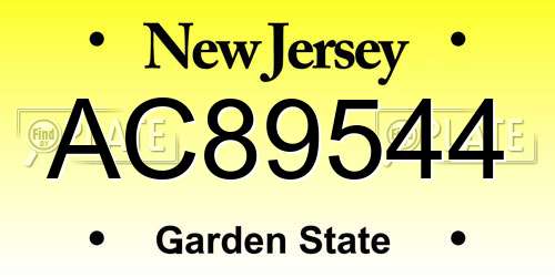 AC89544 New Jersey License Plate