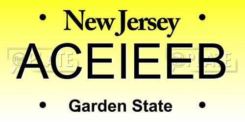 ACEIEEB New Jersey License Plate