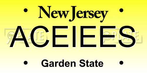 ACEIEES New Jersey License Plate