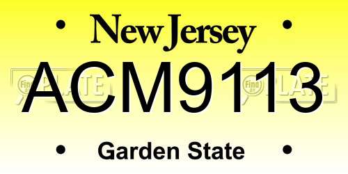 ACM9113 New Jersey License Plate