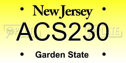 ACS230 New Jersey License Plate