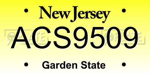 ACS9509 New Jersey License Plate