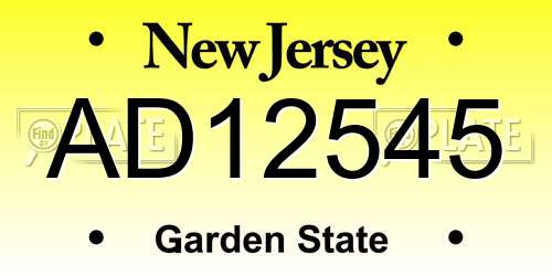 AD12545 New Jersey License Plate