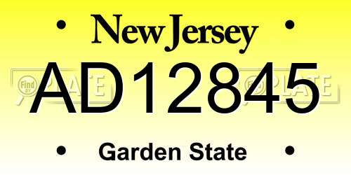 AD12845 New Jersey License Plate