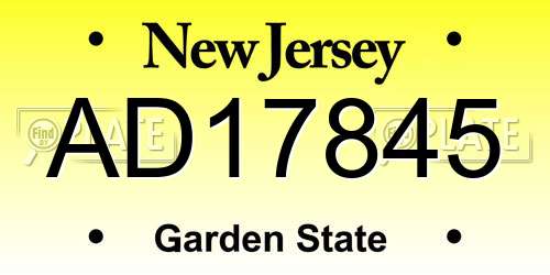 AD17845 New Jersey License Plate